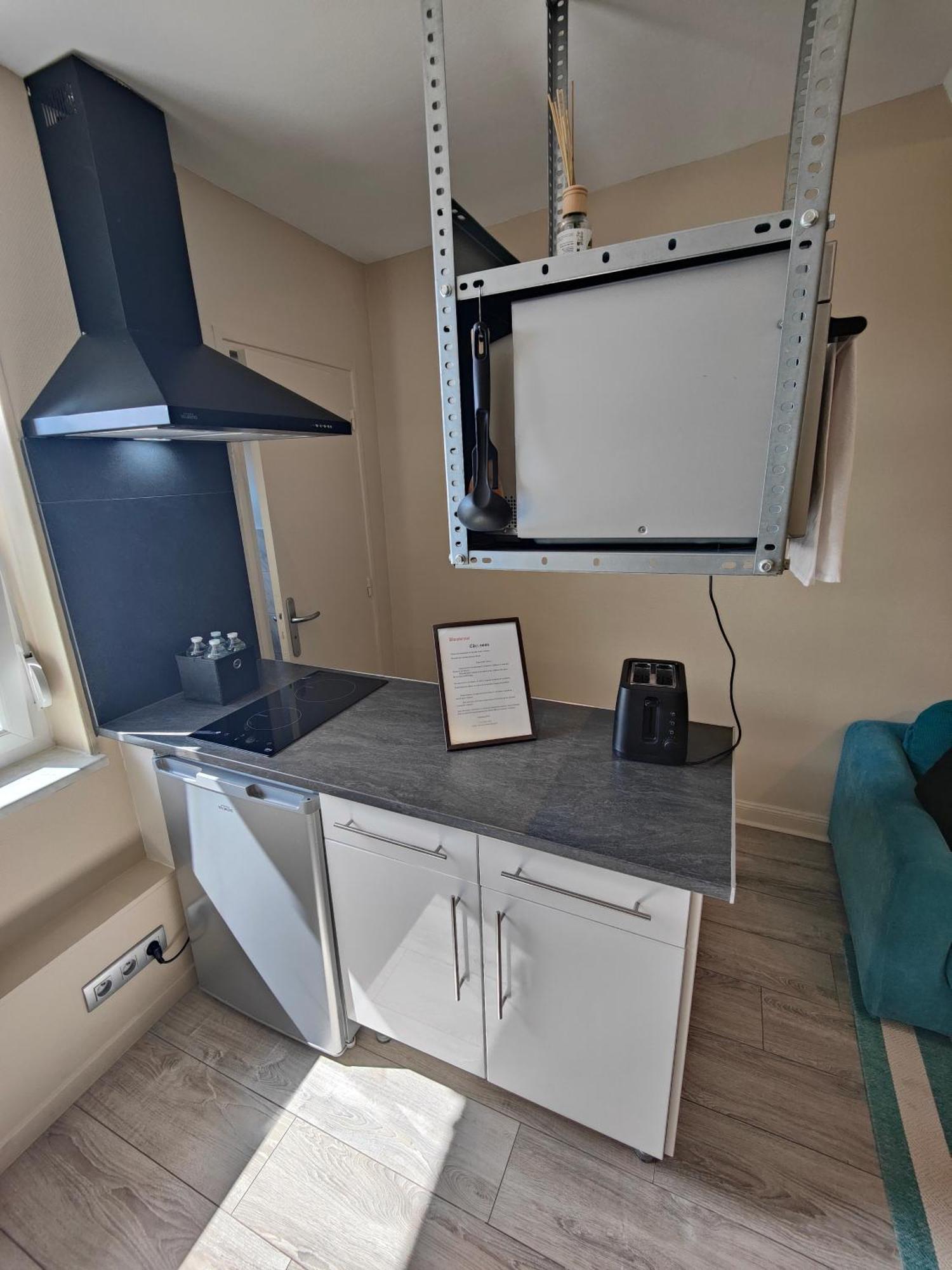 Residence Leclerc - Appartements D'Hotes - Secteur Thermal Nancy Exterior photo